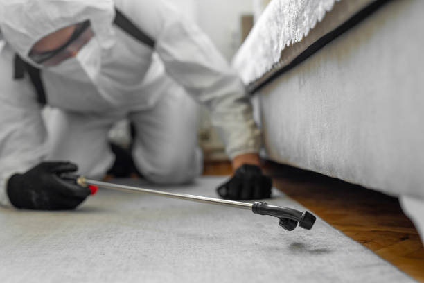 Professional Bed Bug Control technician working in Calumet Park, IL
