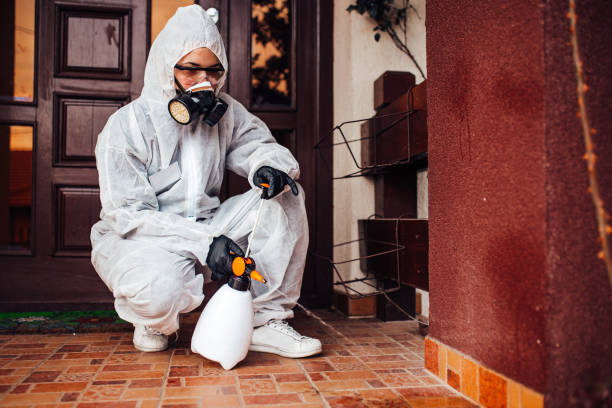 Reliable Bed Bug Control contractor in Calumet Park, IL by Nex Pest Control