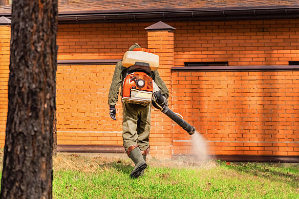Trusted Bed Bug Control service in Calumet Park, IL - Nex Pest Control